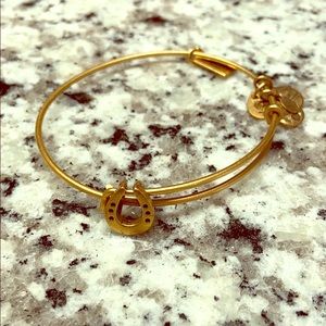 Alex and Ani Horseshoe Band